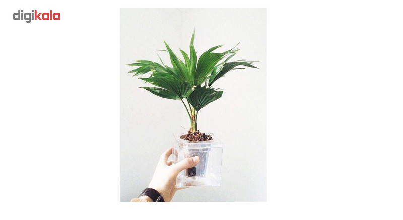 آکواریوم سون گرین مدل گلدان آبی - حجم 3 لیتر