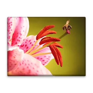 کاشی اطلس آبی طرح گل و زنبور مدل T5860