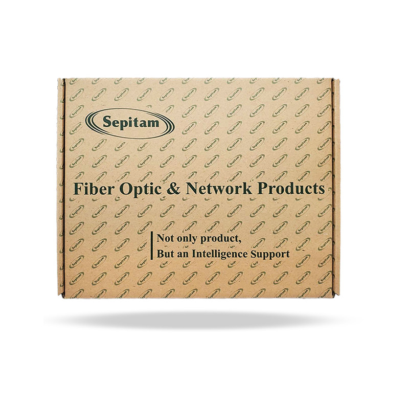 مدیا کانورتر سپیتام مدل Sepitam-MC21G-DSFR
