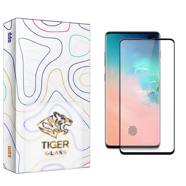 محافظ صفحه نمایش شیشه ای تایگر گلس مدل APL2 FLGL مناسب برای گوشی موبایل سامسونگ Galaxy S10 Plus