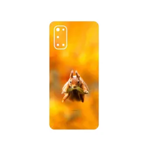 MAHOOT Squirrel Cover Sticker for Realme 7 Pro