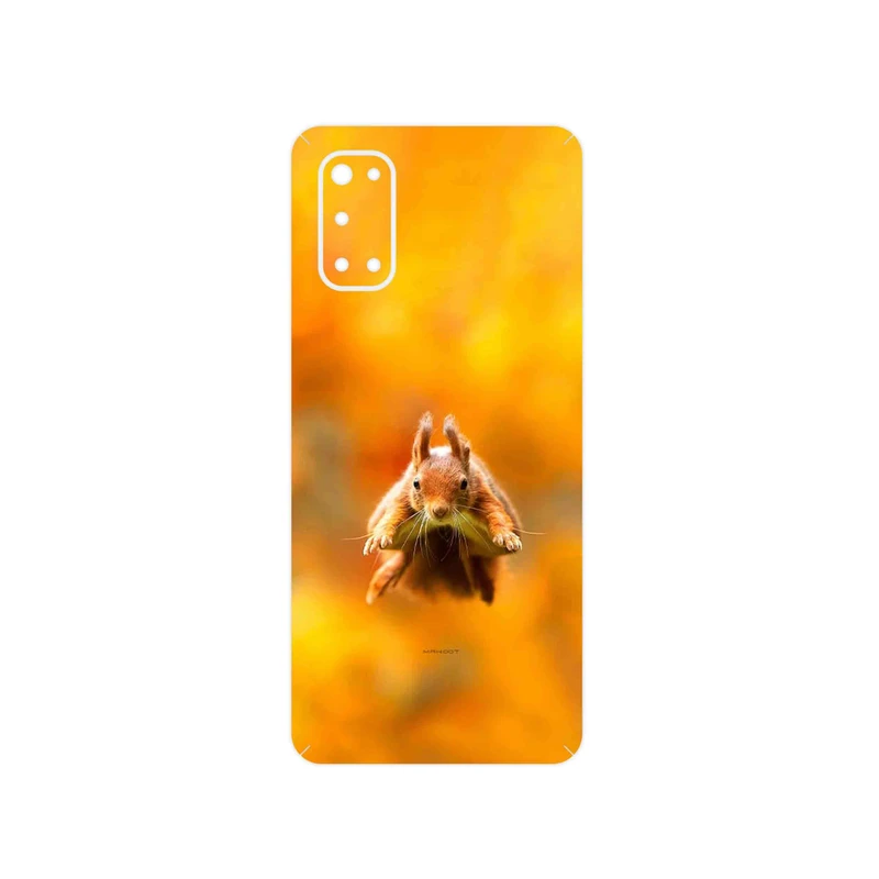 برچسب پوششی ماهوت مدل Squirrel مناسب برای گوشی موبایل ریلمی 7 Pro
