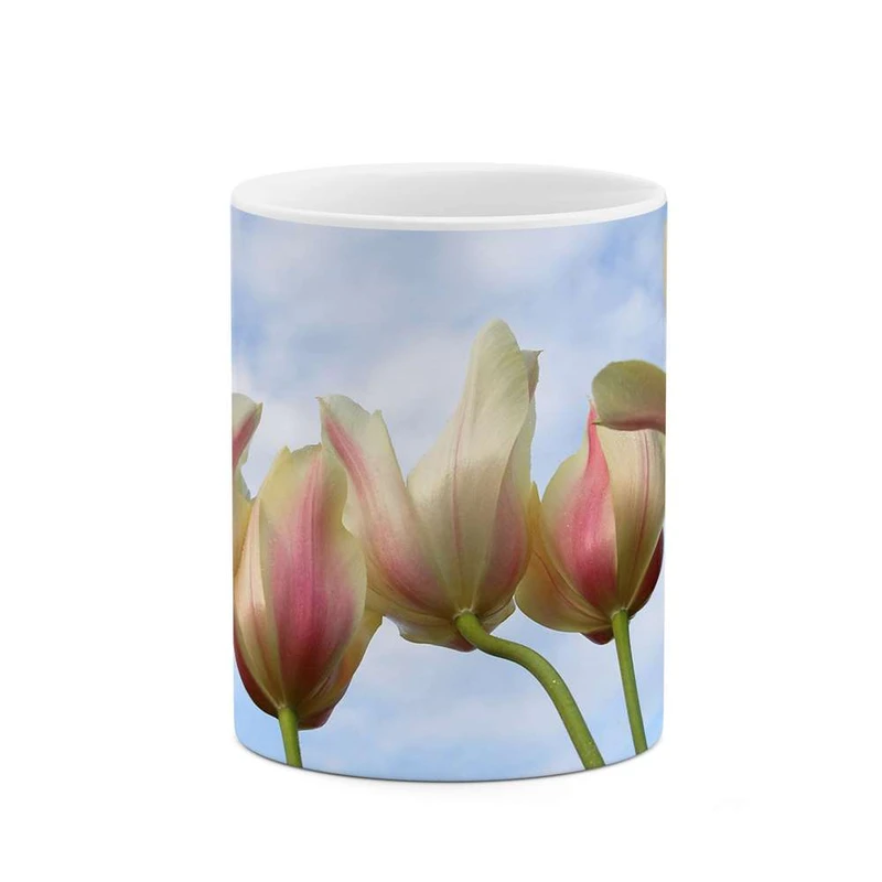 ماگ کاکتی مدل گل کد mgh12019