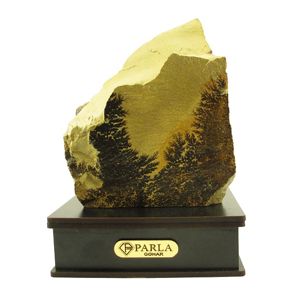 سنگ راف پارلاگوهر مدل شجر فسیلی کد 5657