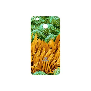 MAHOOT Atom Universe 6 Cover Sticker for Xiaomi Redmi 4X