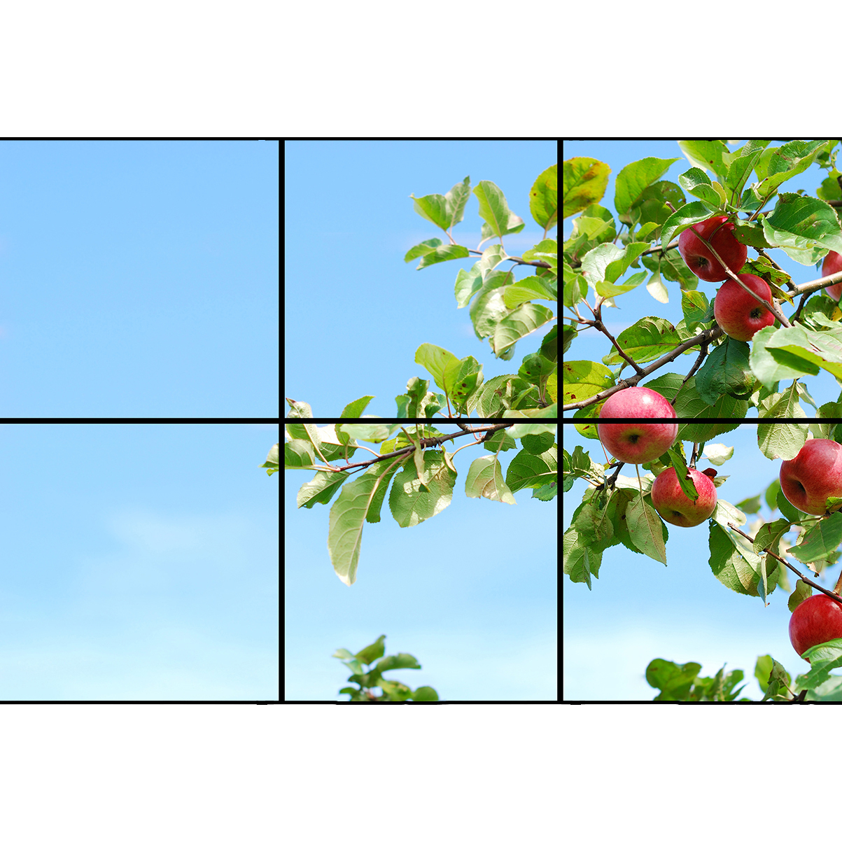 تایل سقفی آسمان مجازی مدل سیب کد NB397 سایز 60x60 سانتیمتر مجموعه 6 عددی 