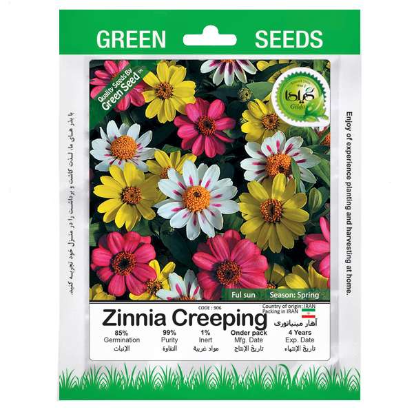 بذر آهار مینیاتوری گیلدا کد 906 بذر آهار مینیاتوری گیلدا کد 906