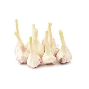 سیر تازه مقدار  500 گرم