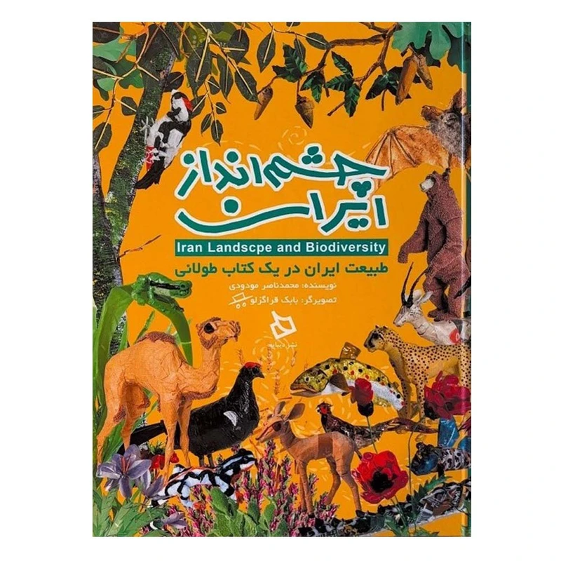 کتاب چشم انداز ایران اثر محمد ناصر مودودی نشر دیبایه