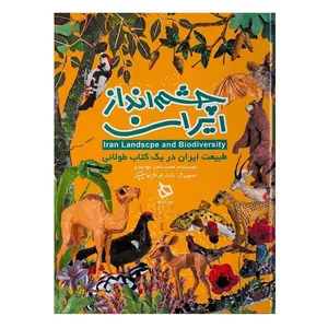 کتاب چشم انداز ایران اثر محمد ناصر مودودی نشر دیبایه