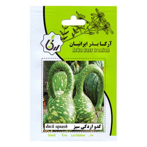 بذر کدو اردکی سبز آرکا بذر ایرانیان مدل B108