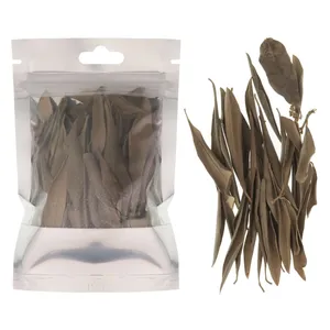 دمنوش  برگ زیتون خشک - 100 گرم