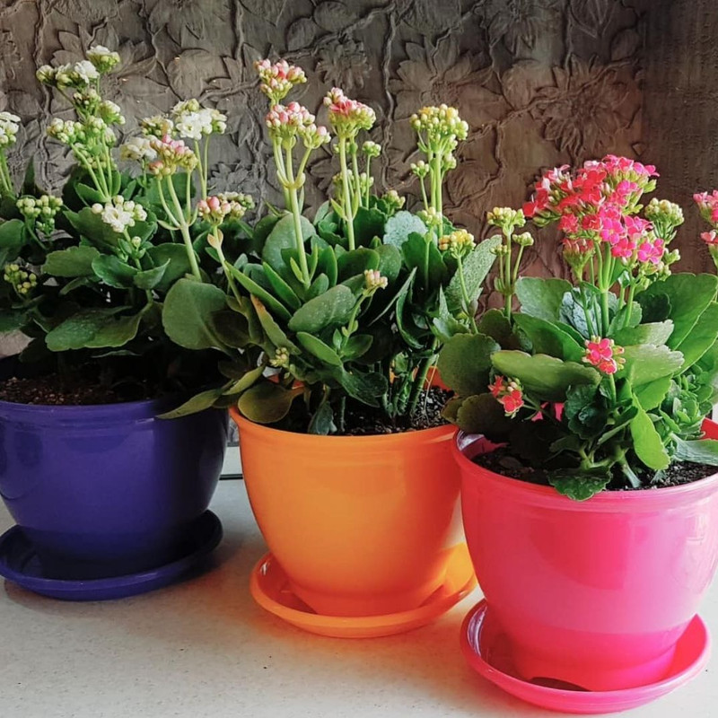 گلدان مدل پلاستیکی گرد کد 22 بسته 2عددی