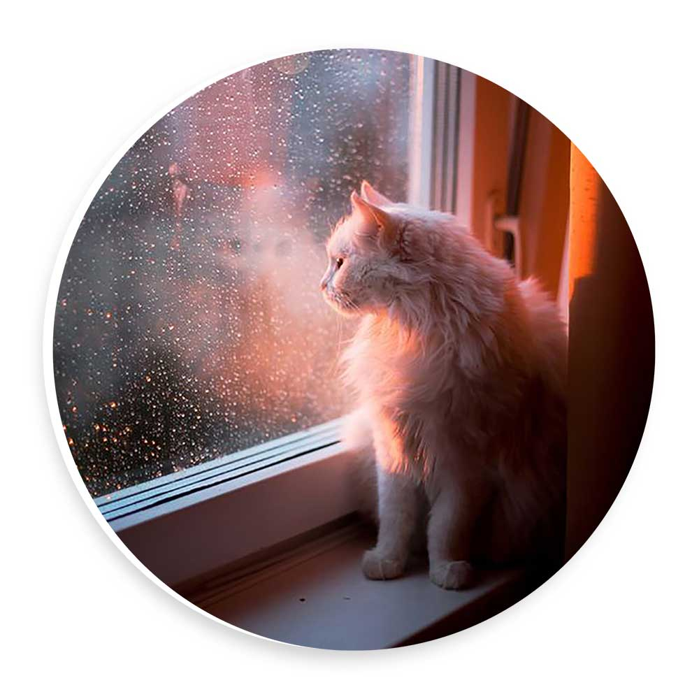 دیوارکوب طرح گربه پشت پنجره مدل wtb330