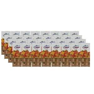 نکتار انبه گلشن - 200 میلی لیتر بسته 32 عددی