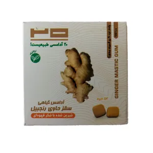 آدامس زنجبیلی طبیعی بیست بسته 14 عددی