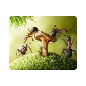 ماوس پد اطلس آبی طرح مورچه و قارچ مدل T6747