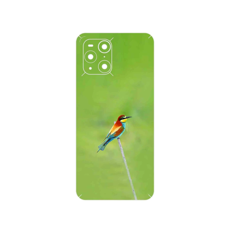 برچسب پوششی ماهوت مدل European bee-eater مناسب برای گوشی موبایل اپو Find X3 Pro
