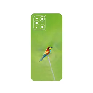 MAHOOT European bee-eater Cover Sticker for Oppo Find X3 Pro