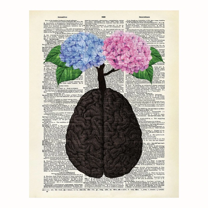 پوستر مدل مغز گلی