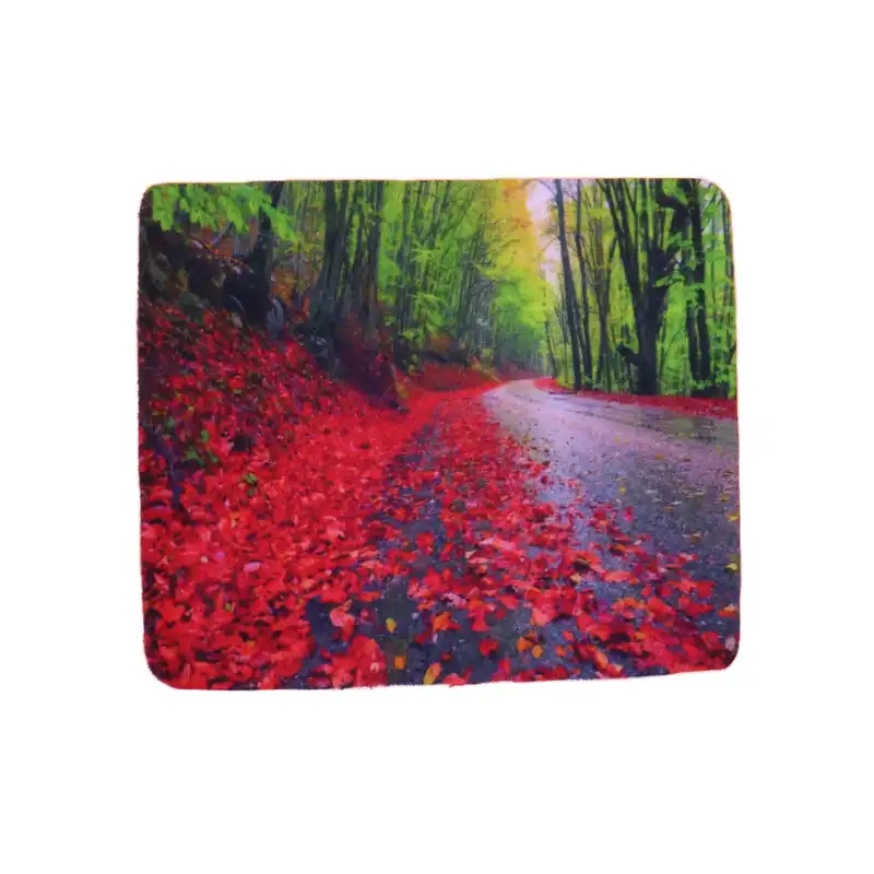 دستمال عینک مدل نانو طرح پاییز