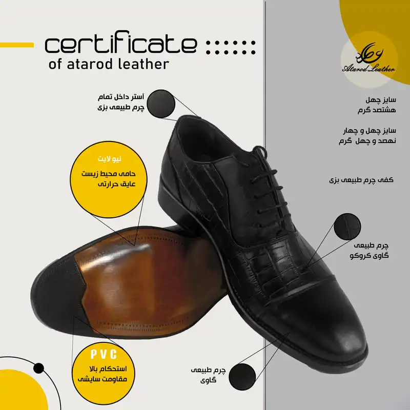 کفش مردانه چرم عطارد مدل چرم طبیعی کد SH33