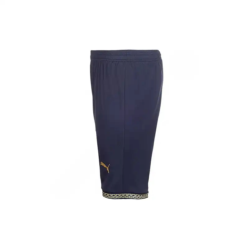 شلوارک ورزشی مردانه مدل ایتالیا Consept 2023