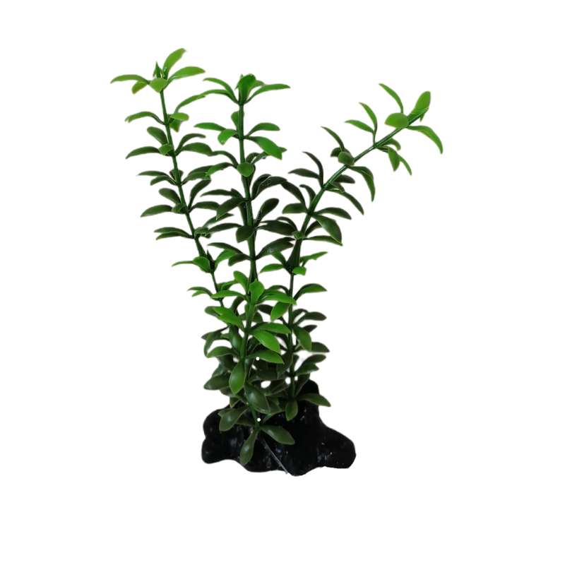 گیاه تزیینی آکواریوم مدل الترا 17