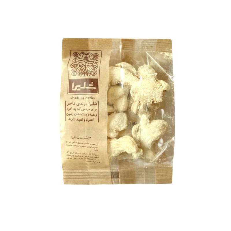 قلم زنجبیل شلیرا - 75 گرم