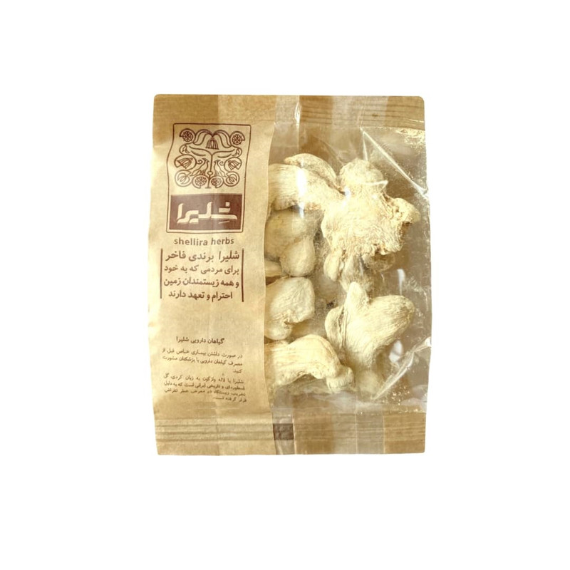 قلم زنجبیل شلیرا - 150 گرم