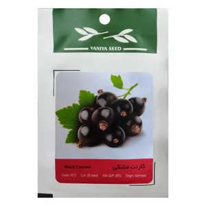 بذر میوه کارنت مشکی وانیا سید مدل N73