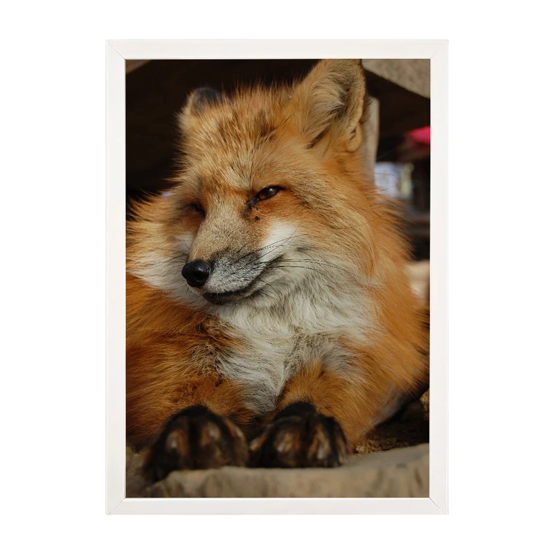 تابلو مدل دیواری طرح روباه کد EA-1172