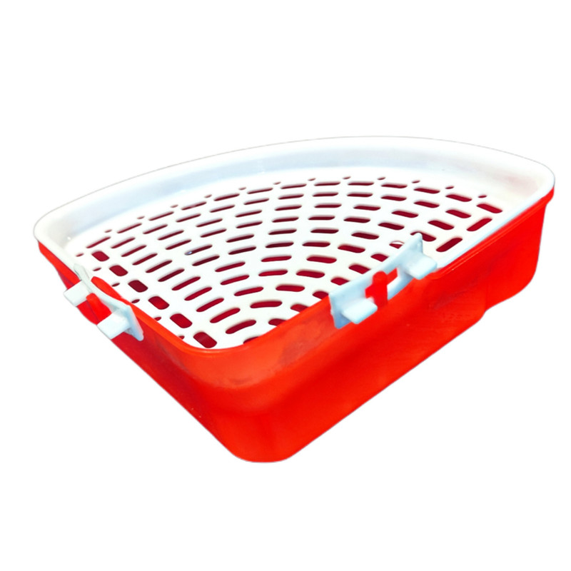 توالت خرگوش مدل red