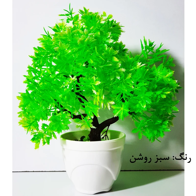 عکس شماره 2