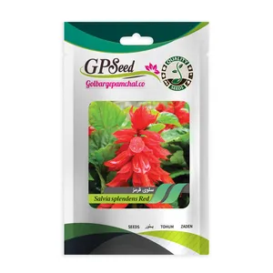 بذر گل سلوی قرمز جی پی سید مدل GP475