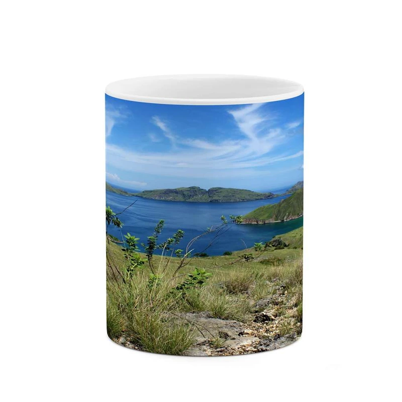 ماگ کاکتی مدل منظره کد mgh15661