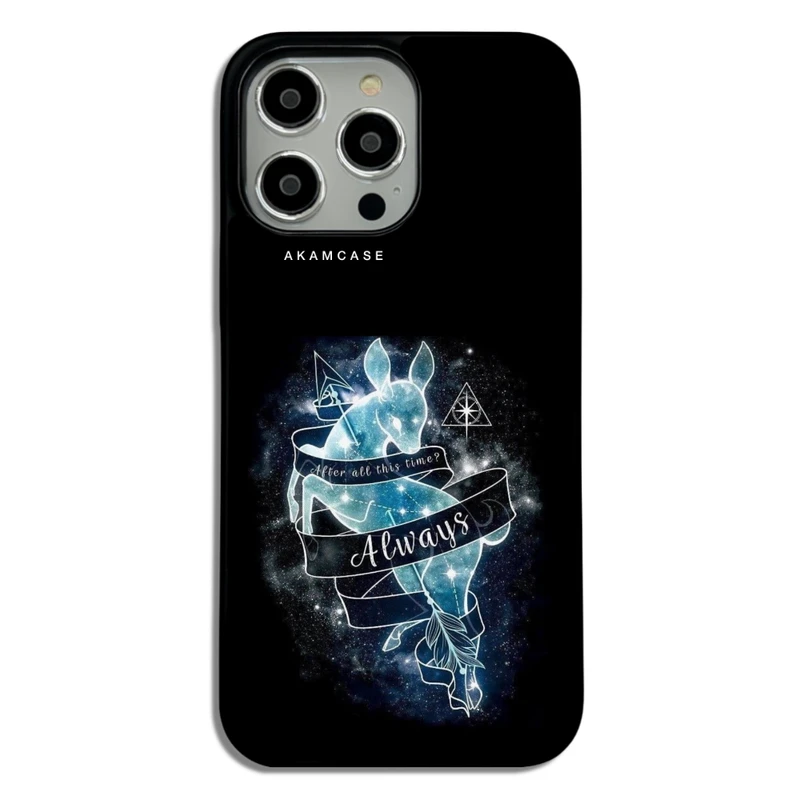 کاور آکام مدل AMCWA14PROMAX-HARRY POTTER2 مناسب برای گوشی موبایل اپل iPhone 14 Pro Max