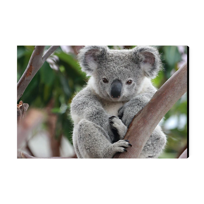 تابلو شاسی عرش مدل فانتزی کوالا کد As3077