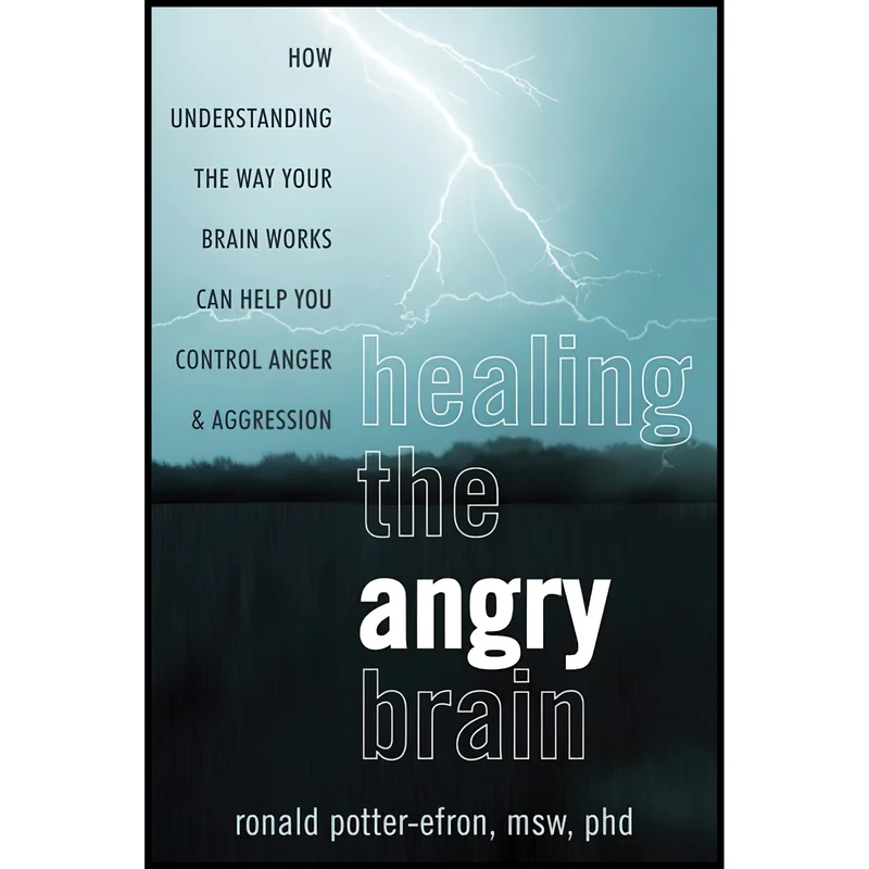کتاب Healing the Angry Brain اثر Ronald T. Potter-Efron انتشارات New Harbinger Publications