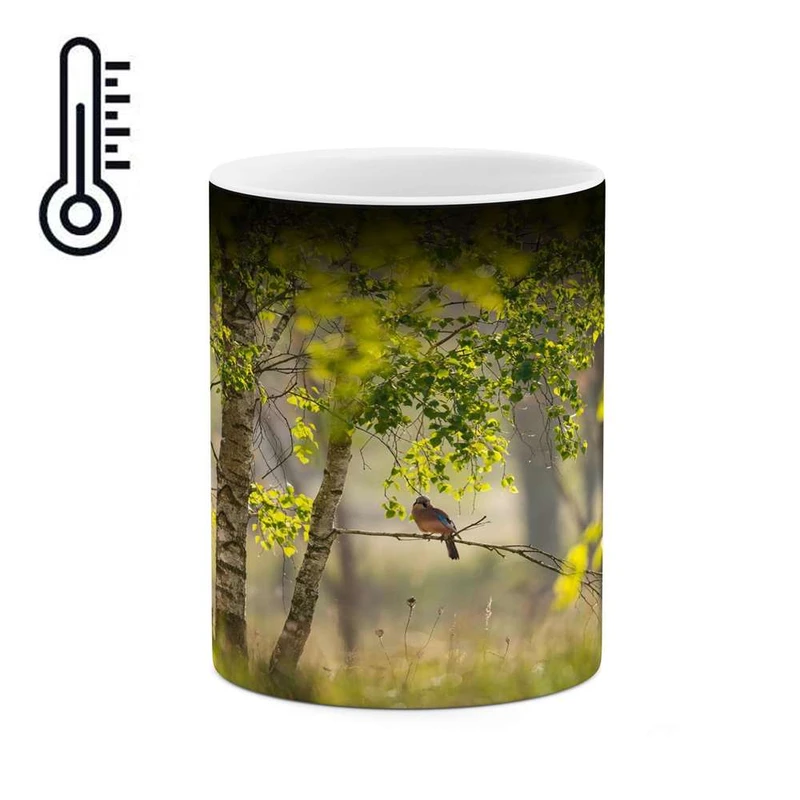 ماگ حرارتی کاکتی مدل منظره کد mgh16908