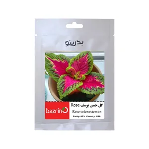 بذر گل حسن یوسف رز بذرینو کد BZNO-102