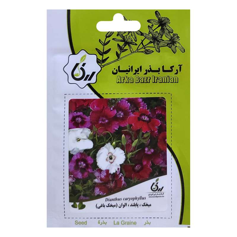 بذر میخک پابلند الوان آرکا بذر ایرانیان کد ARK-050