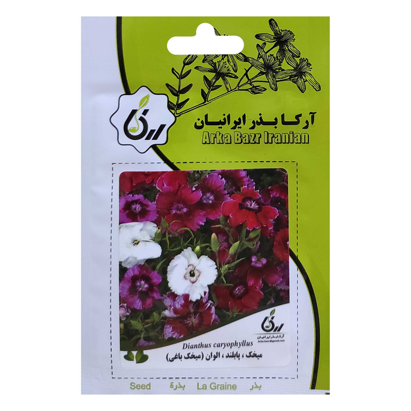 بذر میخک پابلند الوان آرکا بذر ایرانیان کد ARK-050