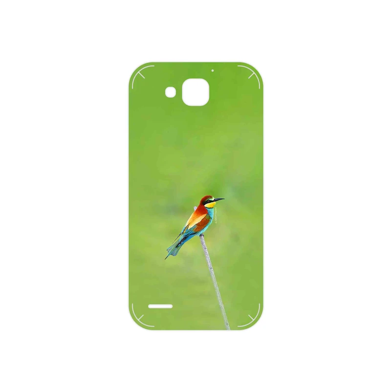 برچسب پوششی ماهوت مدل European bee-eater مناسب برای گوشی موبایل هوآوی Ascend G750