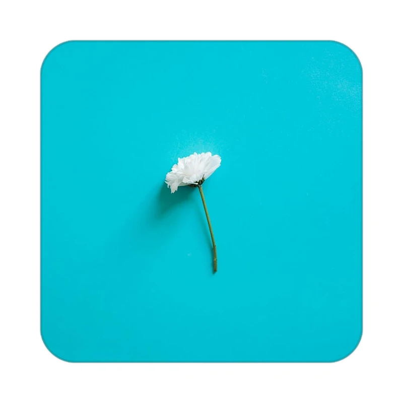 زیر لیوانی کاکتی طرح گل مدل mp18792