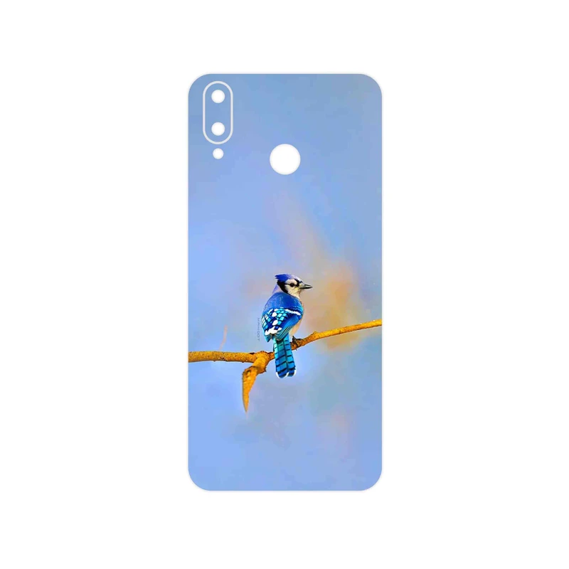 برچسب پوششی ماهوت مدل Cyanocitta cristata مناسب برای گوشی موبایل جی پلاس Q10
