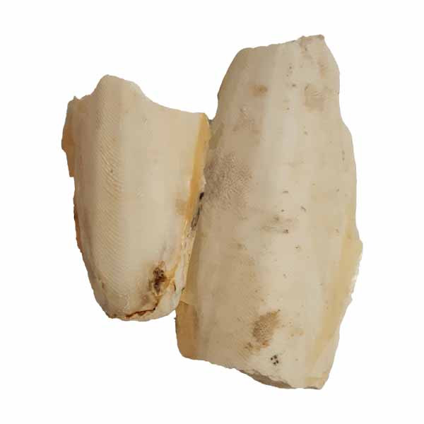 کف دریا کد M139 وزن 50 گرم