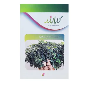 بذر گل شفلرا کیا بذر کد 034