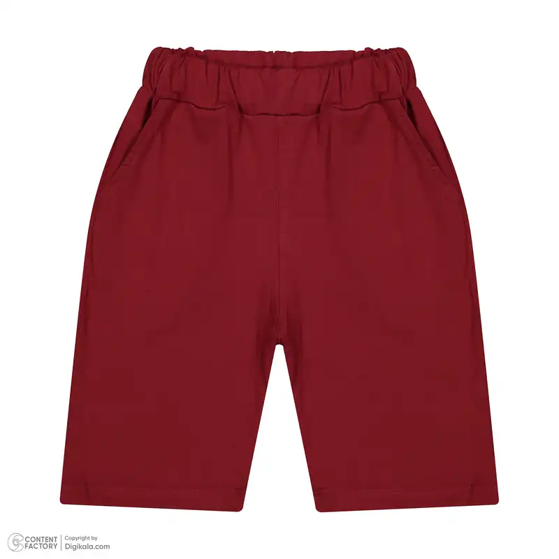 ست تی شرت و شلوارک پسرانه مادر مدل هاوایی رنگ آبی