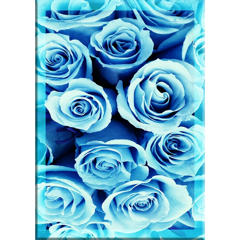 پوستر مدل گل رز کد BL1